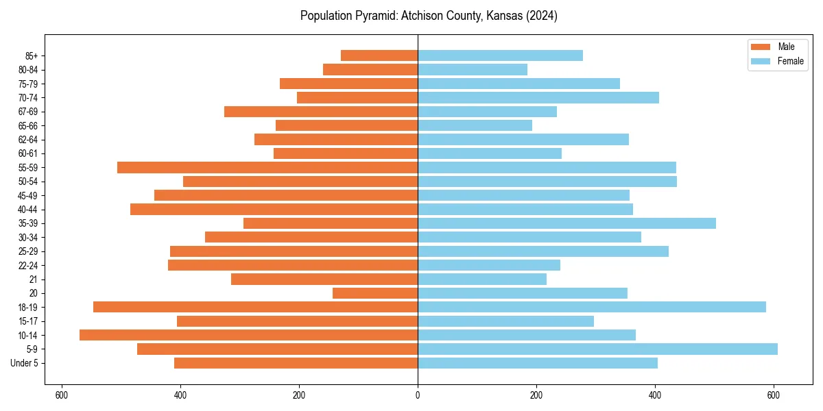 Population pyramid for 