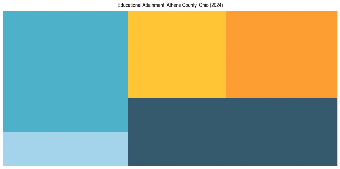 Education Treemap for  in 2024
