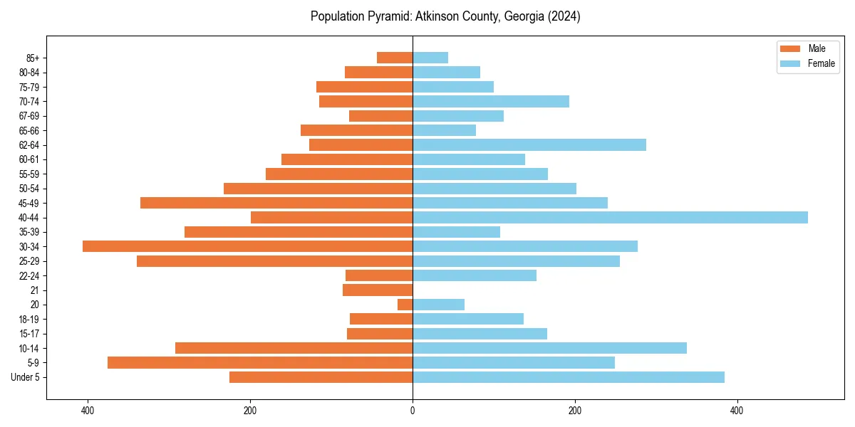 Population pyramid for 