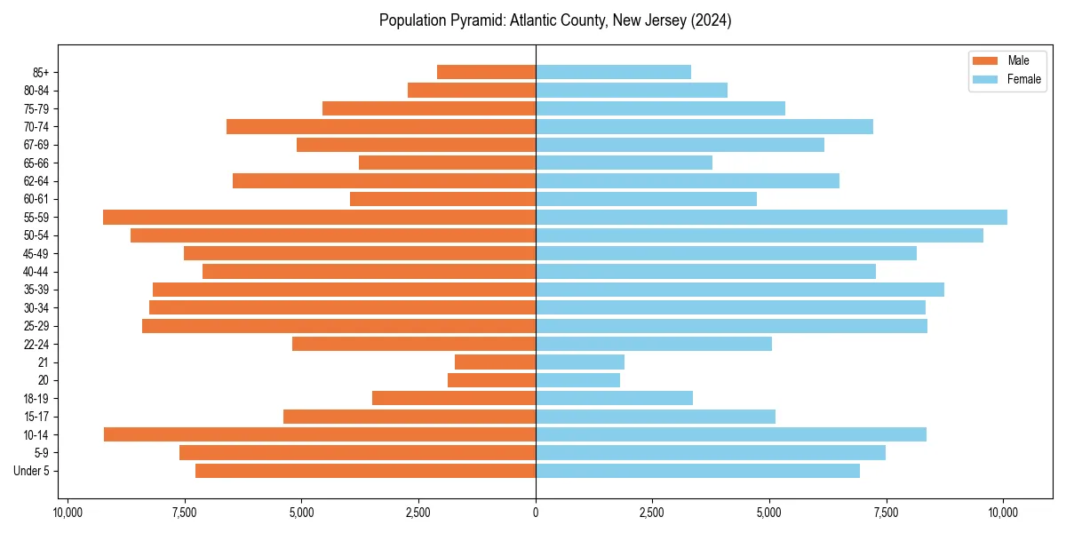 Population pyramid for 