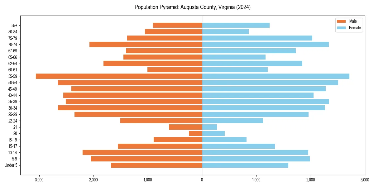 Population pyramid for 
