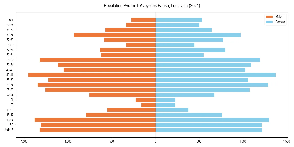 Population pyramid for 