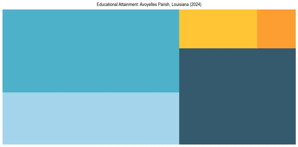 Education Treemap for  in 2024