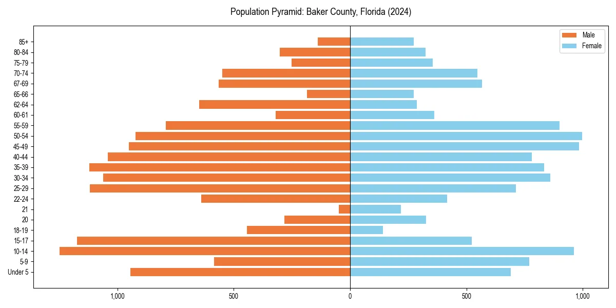 Population pyramid for 