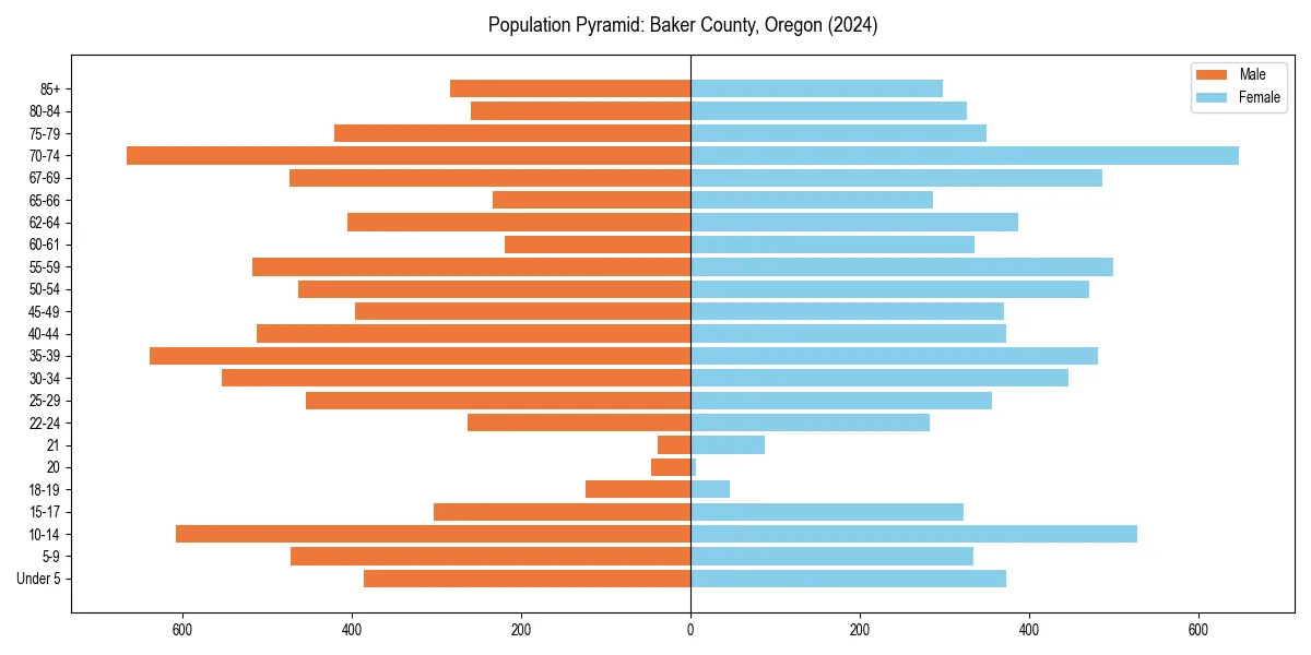 Population pyramid for 