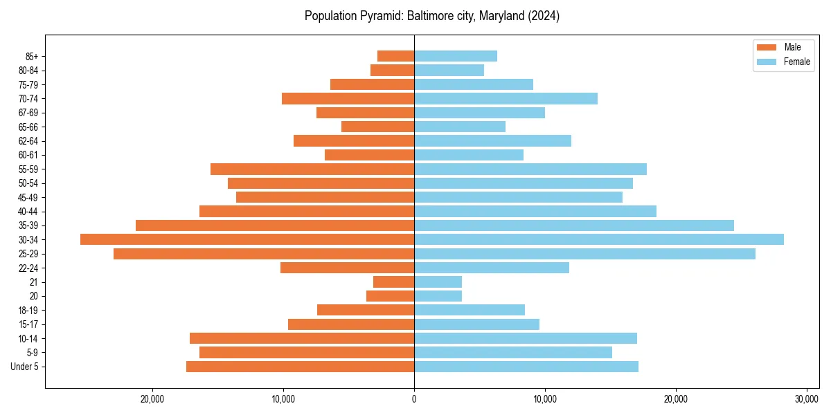 Population pyramid for 