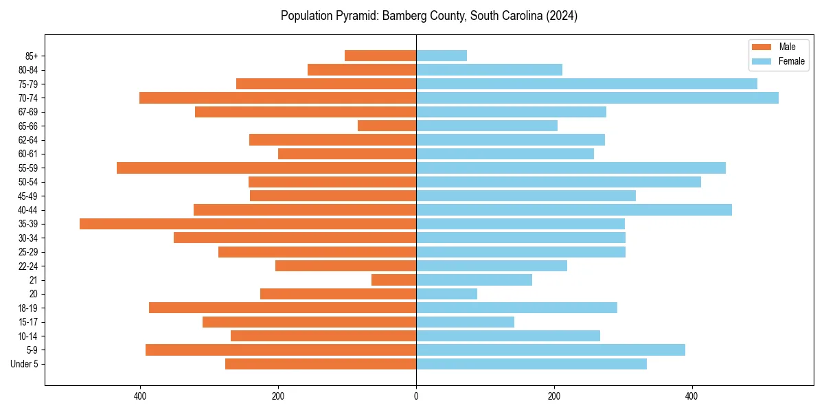 Population pyramid for 