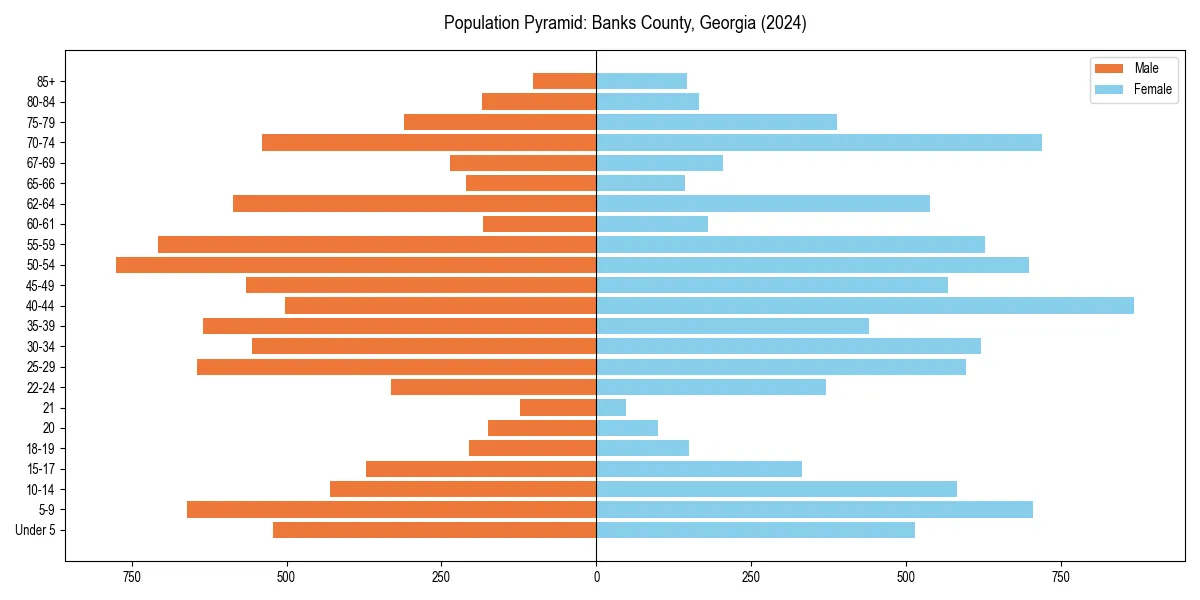 Population pyramid for 