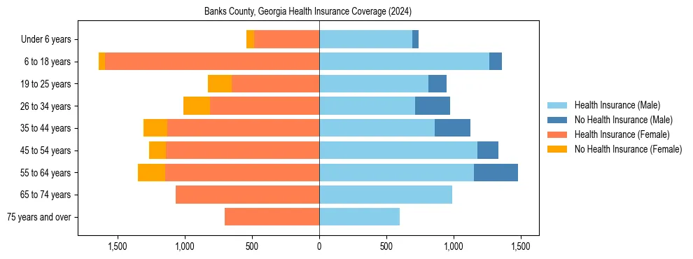 Health insurance pyramid for Banks County, Georgia