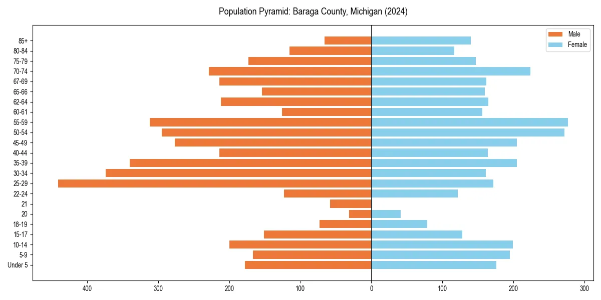 Population pyramid for 