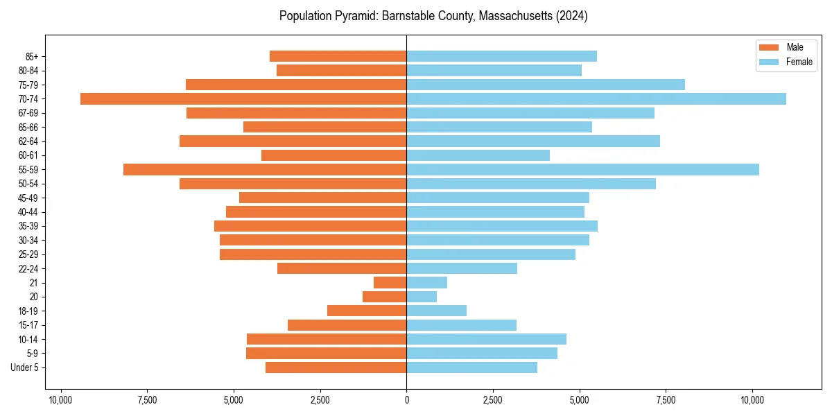 Population pyramid for 