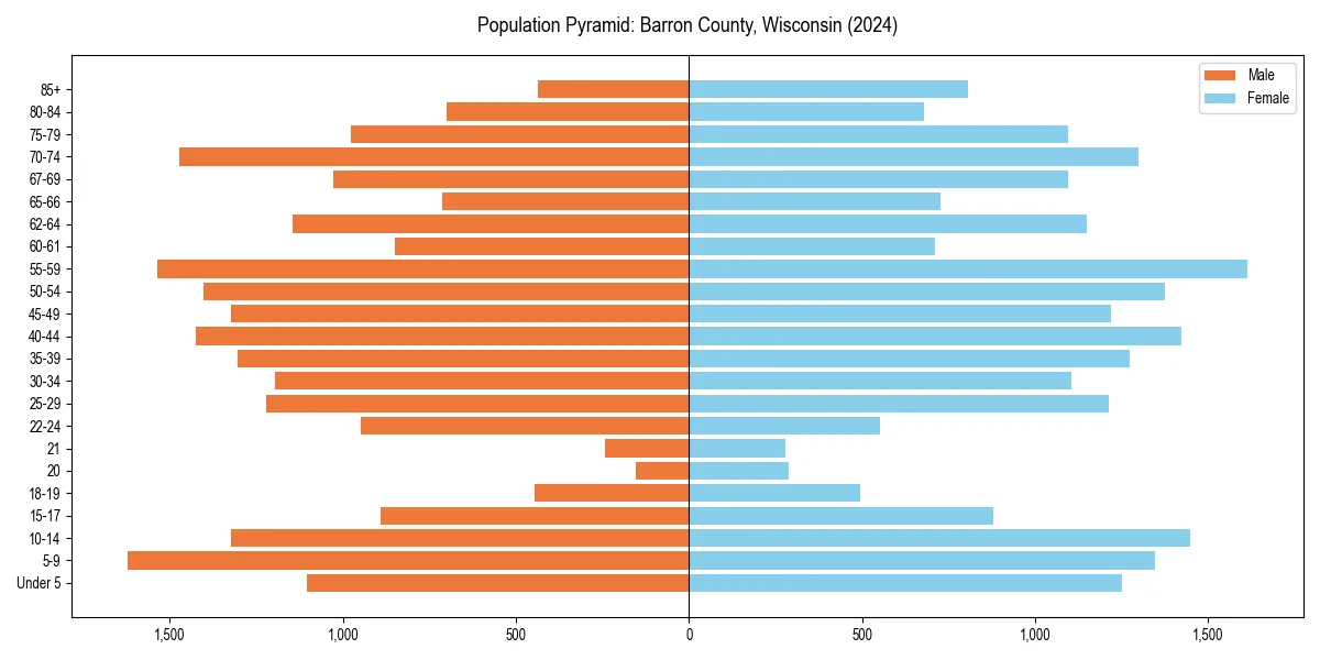 Population pyramid for 