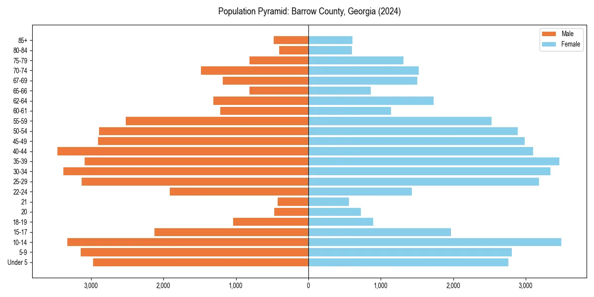 Population pyramid for 
