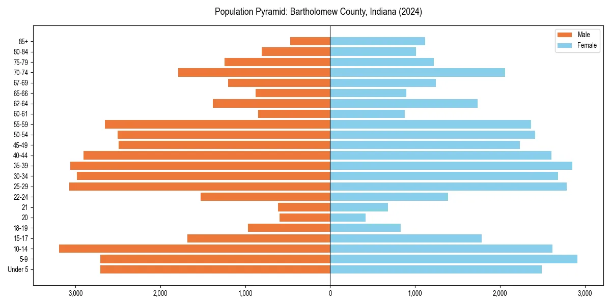 Population pyramid for 