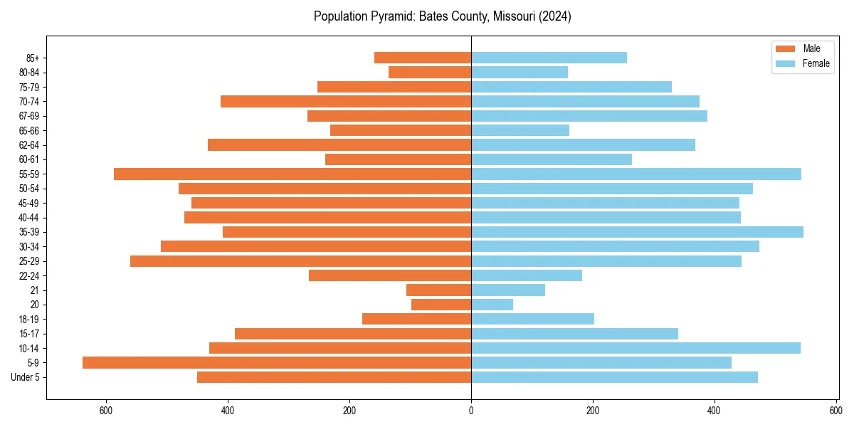 Population pyramid for 