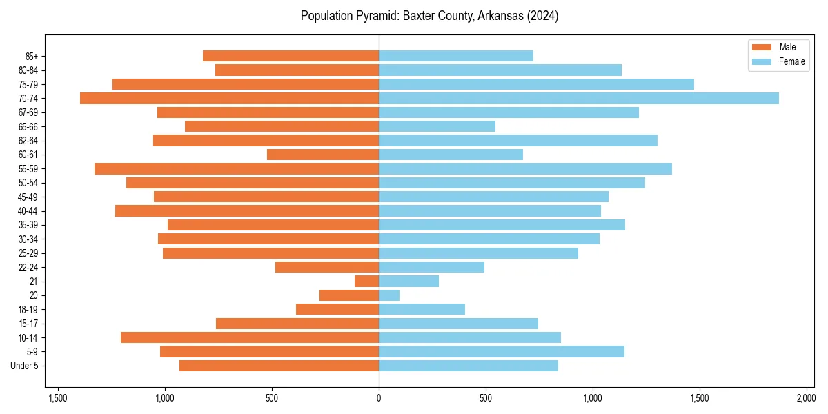 Population pyramid for 