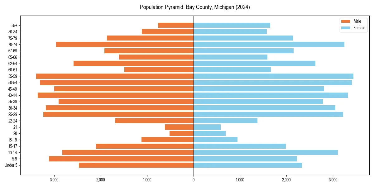 Population pyramid for 