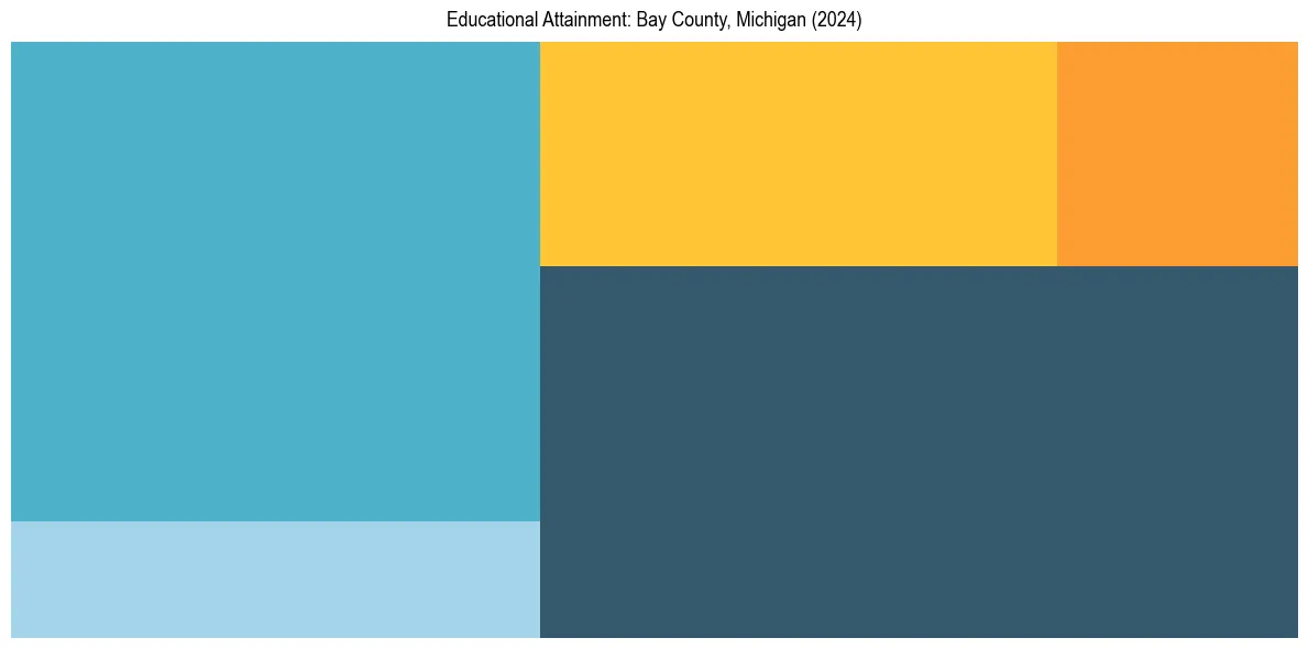 Education Treemap for  in 2024