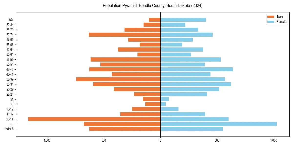 Population pyramid for 