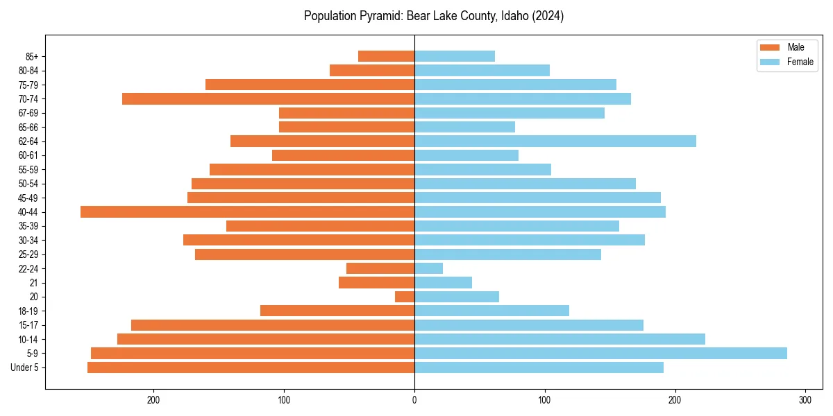 Population pyramid for 