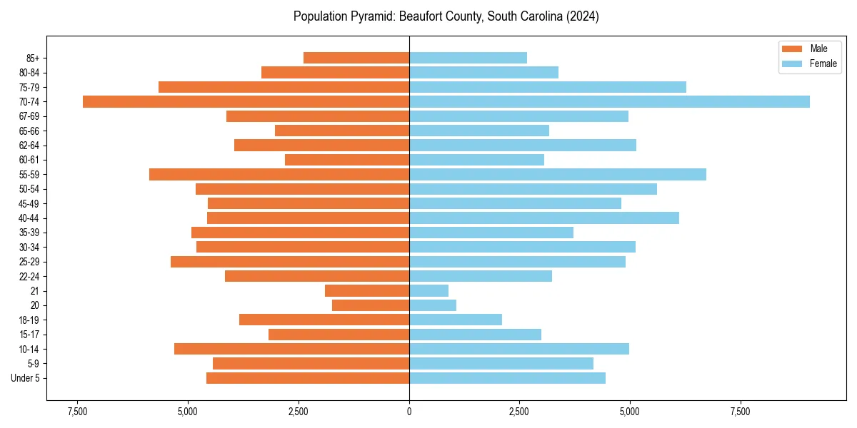 Population pyramid for 