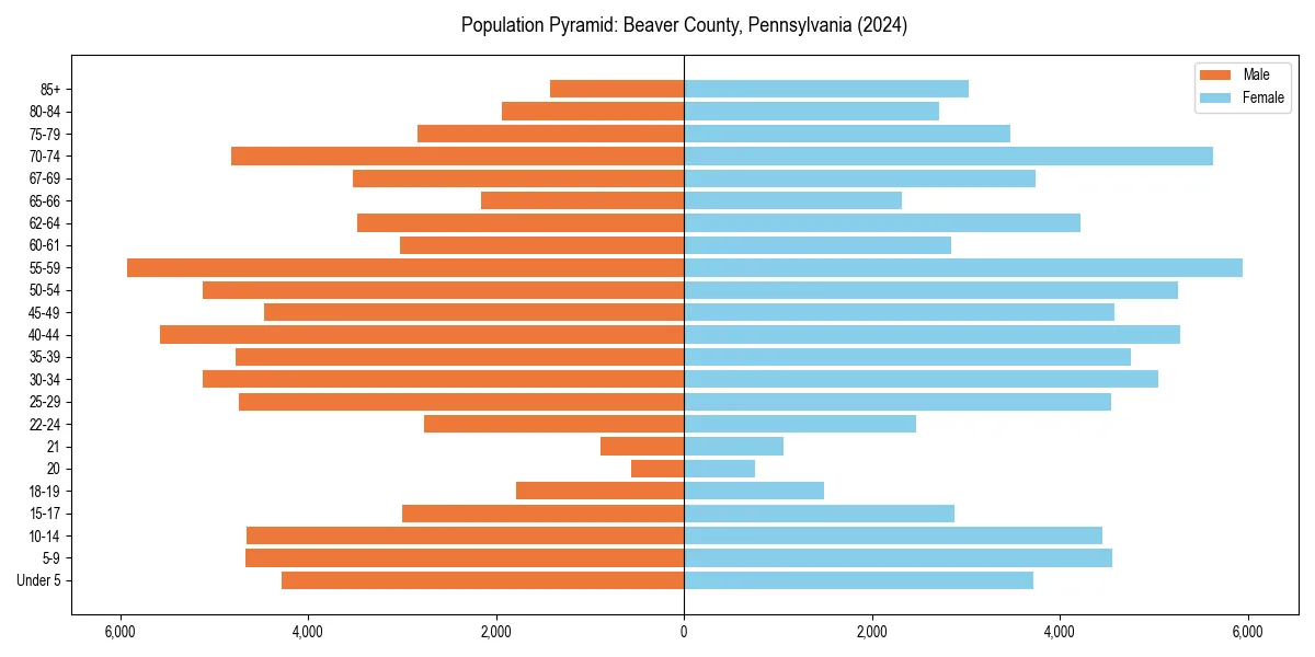 Population pyramid for 
