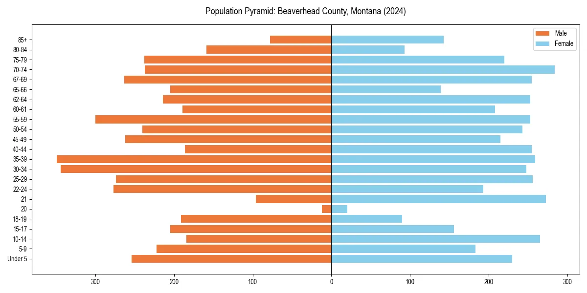 Population pyramid for 