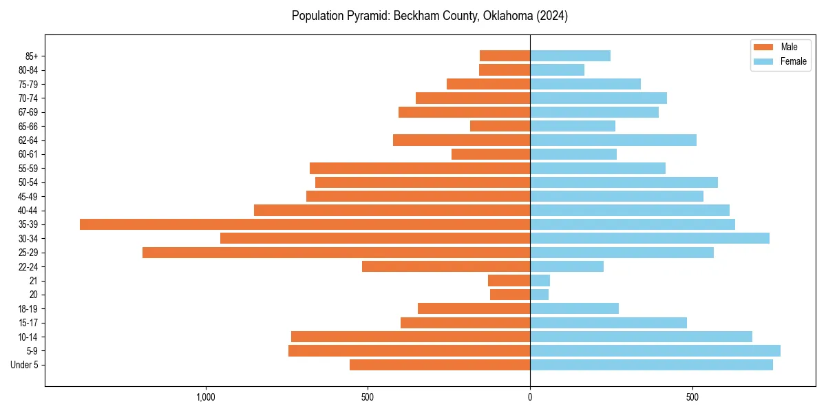 Population pyramid for 