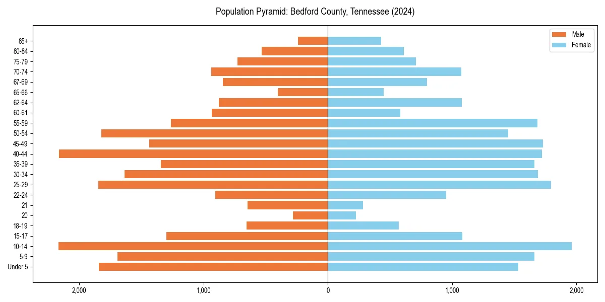 Population pyramid for 