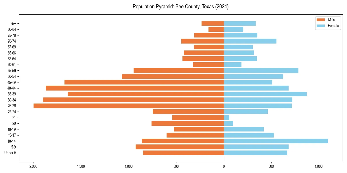Population pyramid for 