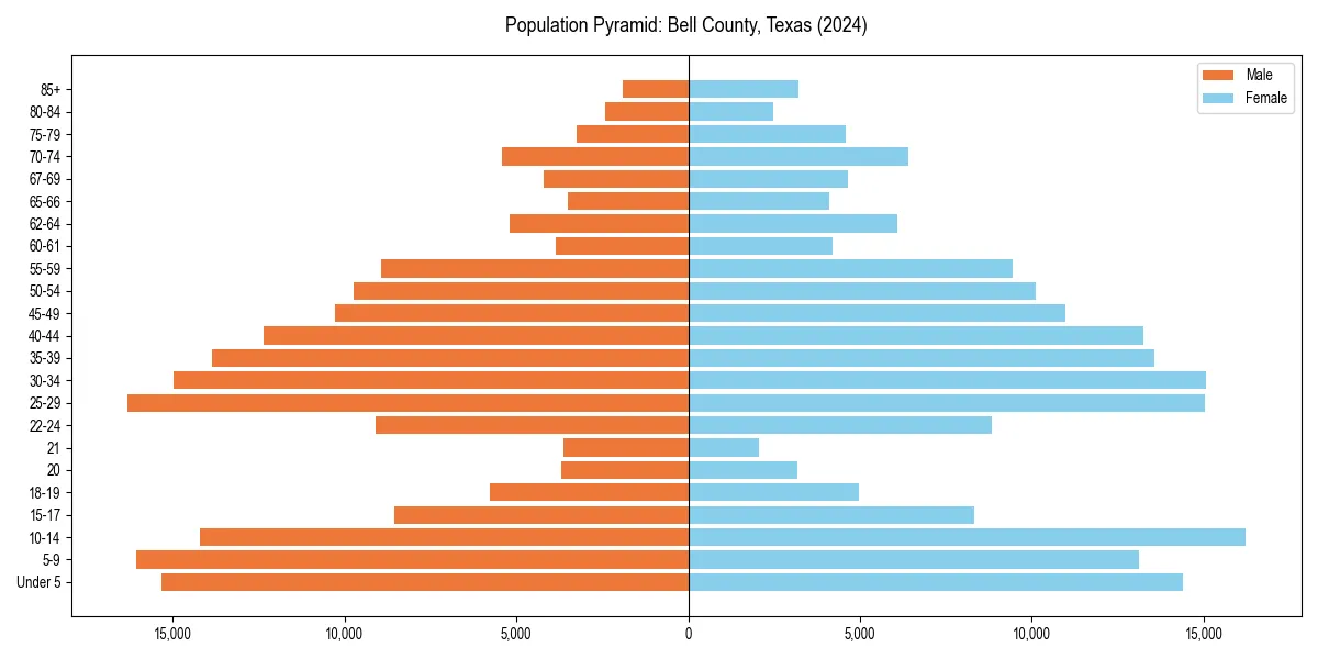 Population pyramid for 
