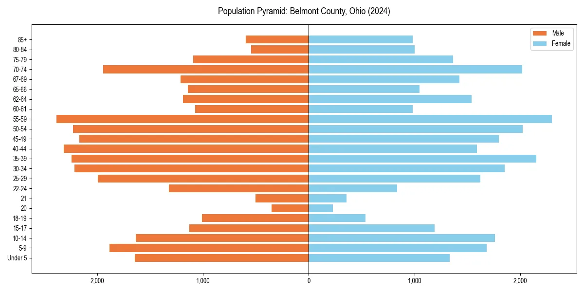 Population pyramid for 