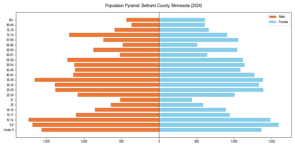 Population pyramid for 