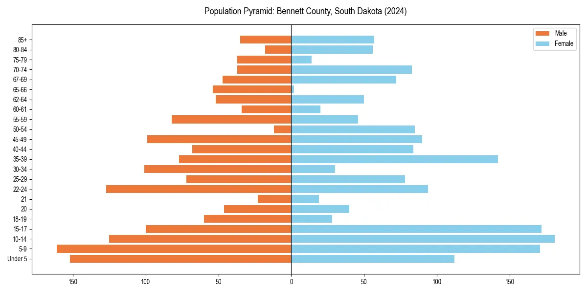 Population pyramid for 