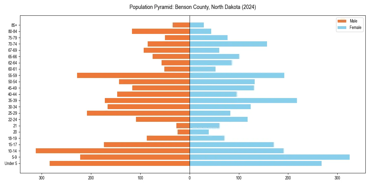 Population pyramid for 