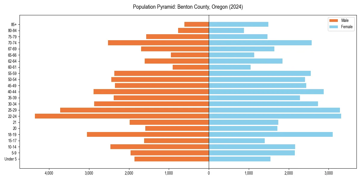 Population pyramid for 