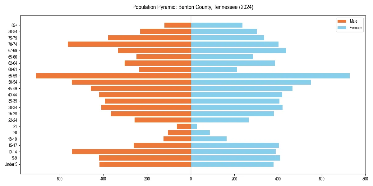 Population pyramid for 