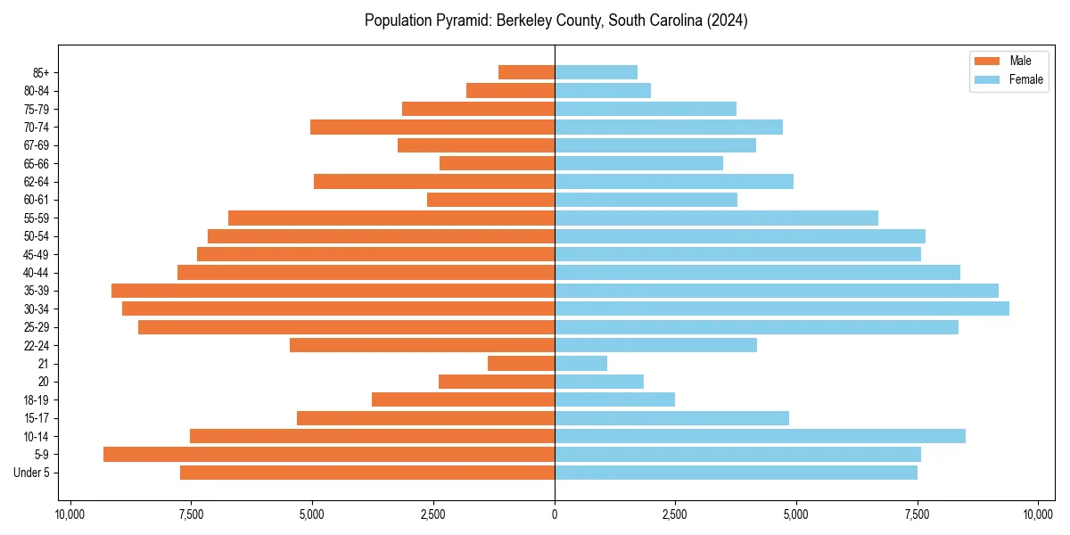Population pyramid for 