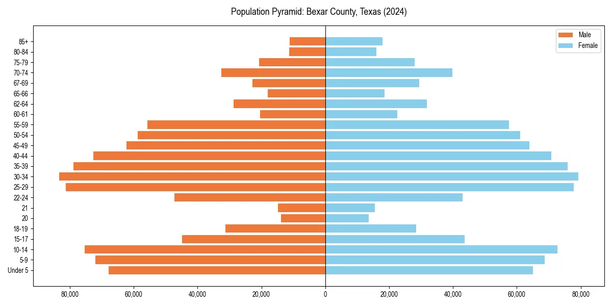 Population pyramid for 