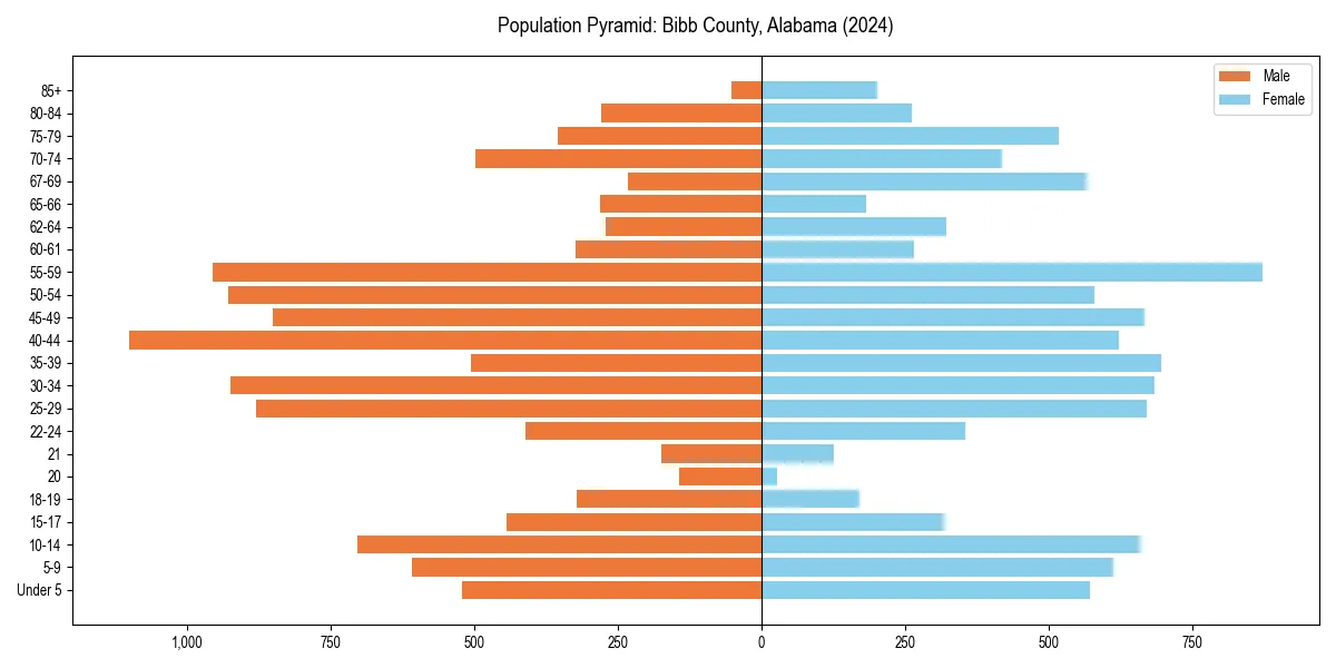 Population pyramid for 
