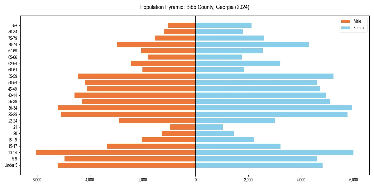 Population pyramid for 