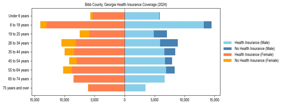 Health insurance pyramid for Bibb County, Georgia