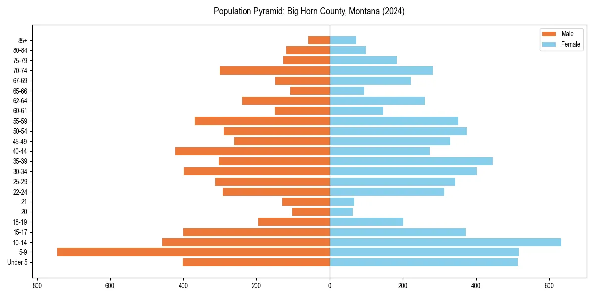 Population pyramid for 