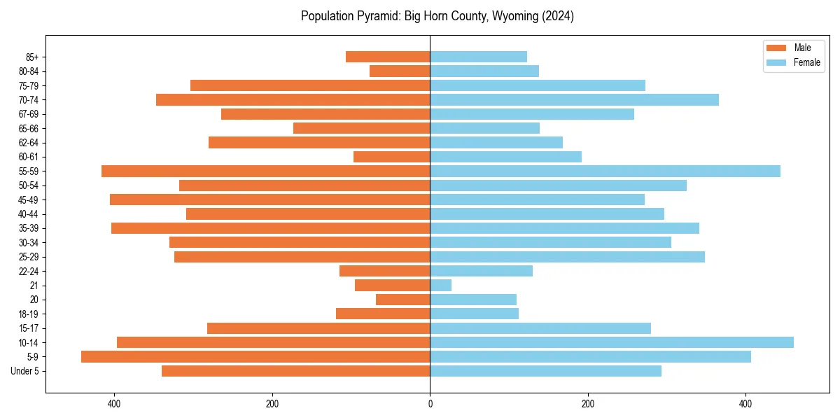 Population pyramid for 