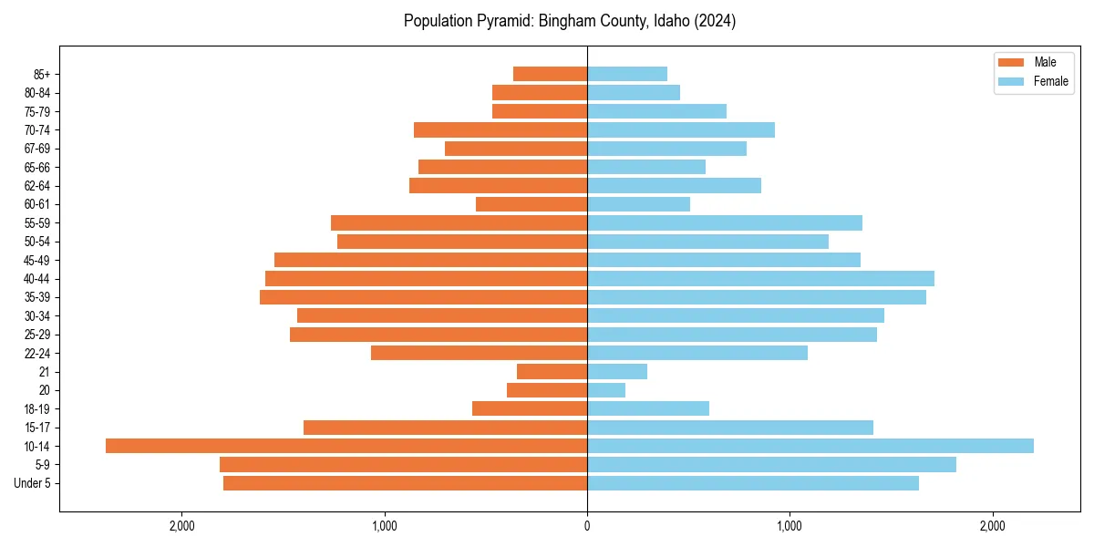 Population pyramid for 