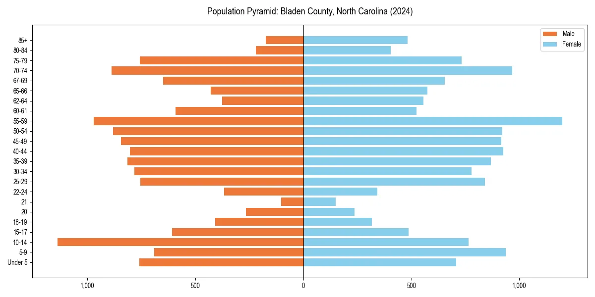 Population pyramid for 