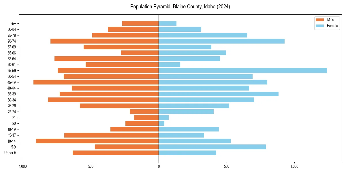 Population pyramid for 