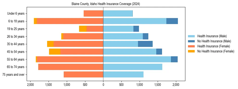 Health insurance pyramid for Blaine County, Idaho