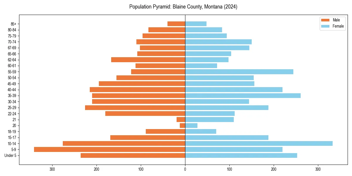 Population pyramid for 