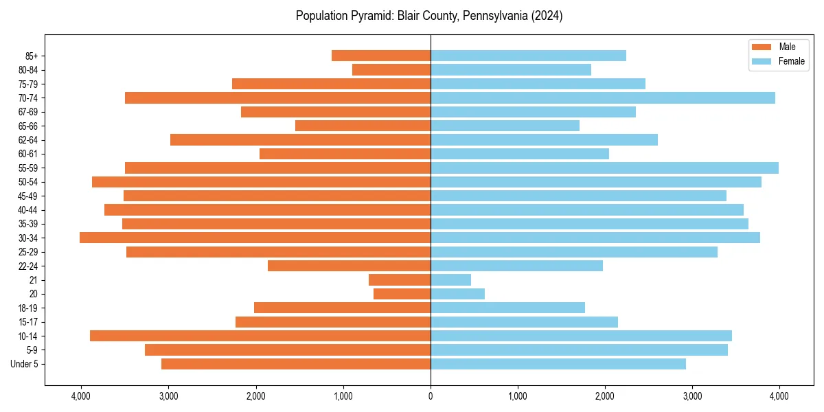 Population pyramid for 